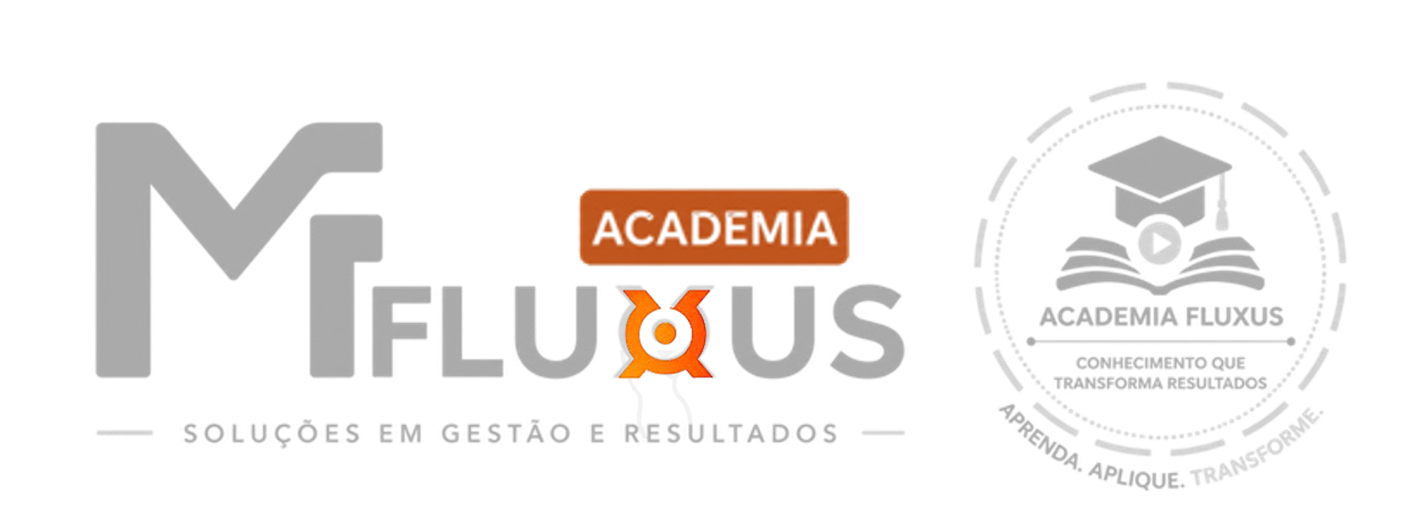 Academia Fluxus
